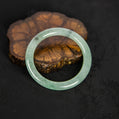 天然緬甸翡翠淡綠飄花圓條手鐲 (適合手圍 51-53mm)